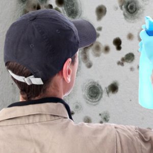 Jenkins Environmental Mold Remediation
