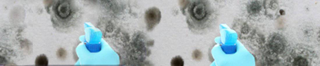 Jenkins Environmental Mold Remediation
