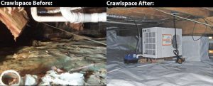 Crawlspace before and after