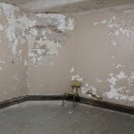 white-mold