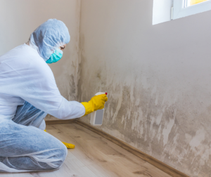 signs of mold on walls