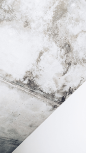 Mold in air